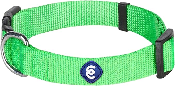 Blueberry Pet Essentials Neon Green Adjustable & Durable Large Dog Collar for Boys | Classic Collars for Large & Small Dogs, Stylish, Sturdy Nylon Collar for Pet Lovers-PawvioPets