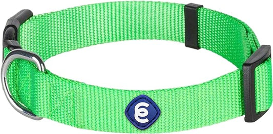 Blueberry Pet Essentials Small Dog Collar in Neon Green | Adjustable & Eco-Friendly Durable Nylon Strap | Classic Collar for Small Dogs, Boy & Girl Pets-PawvioPets