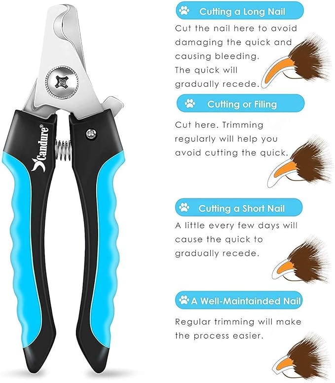 Candure Dog Nail Clippers and Trimmer with Safety Guard to Avoid Over-Cutting Toe Nails Professional Grooming Pet Nail Clipper with Nail File for Small Medium-Large Breeds-PawvioPets