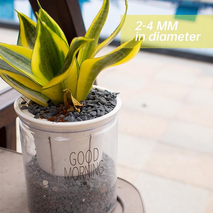 3lb Black Cactus Pea Gravel Rocks,1/4 Inch Pebbles for Indoor Plants, Natural Succulent Rock and River Rocks Decorative for Aquariums, Vases, Outdoor Gardening, Top Dressing for Potted Plants-PawvioPets