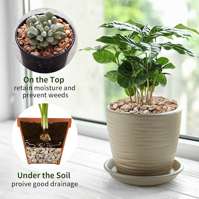 5lbs Natural Pea Gravel Pebbles, 3/8 Inch Decorative Succulent Rocks Pebbles for Indoor Plants. River Rocks for Vase and Outdoor Garden Landscaping Rocks-PawvioPets