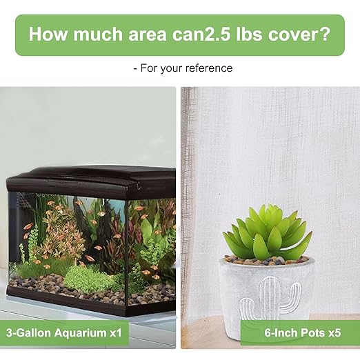 2.5 lbs Drainage Rocks for Potted Plants, 1/5 Inch Small Pebbles for Indoor Plants, Decorative Gravel for Vases, Bamboo, Succulent, Terrarium, Crafts, Cactus-PawvioPets