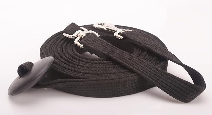 Cord Cotton Lunge Line with Rubber Stop，Equine Lunge Line for Horses with Swivel Bolt Snap，24 ft (Black, 24ft)-PawvioPets