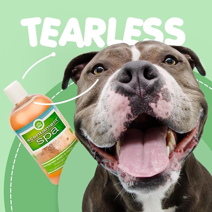 Best Shot Scentament Spa Seasonal Facial & Body Wash, Mango Maui, 16 oz-PawvioPets