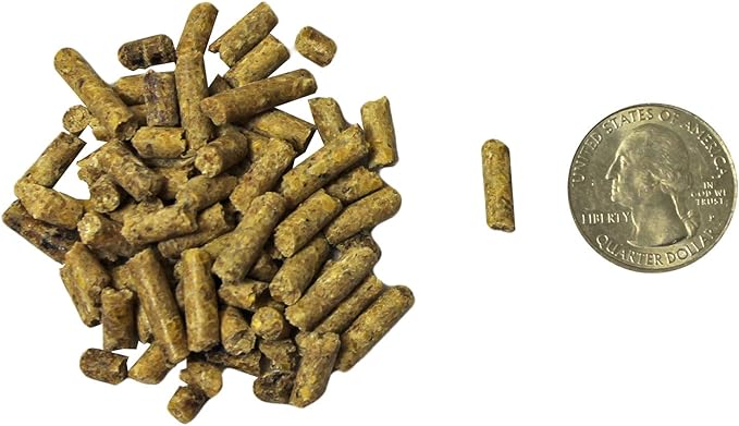 Exotic Nutrition Degu Diet (18lb) - Nutritionally Complete Healthy Pellet Diet with Whole Oats - for Domesticated Pet Degus-PawvioPets