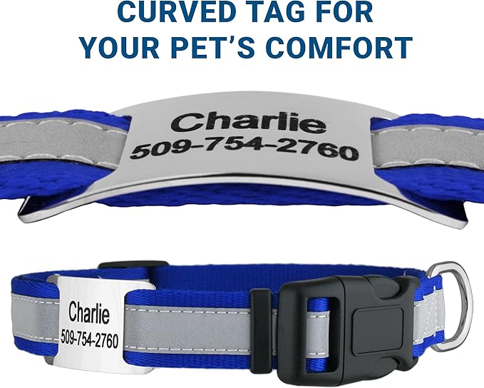 GoTags Reflective Personalized Dog Collar with Nameplate, Adjustable Dog Collar with Custom Engraved Steel Slide On Pet ID Tag, Silent, No Noise Dog Tag for Large Medium or Small (Blue, Small)-PawvioPets