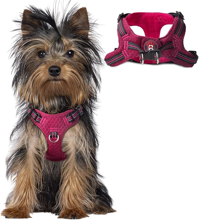 Dog Harness Step in Dog Vest Harness, Reflective Adjustable Puppy No Pull Harness Breathable Soft for Small and Medium Dogs Cats, Pink/Black, XXS-PawvioPets