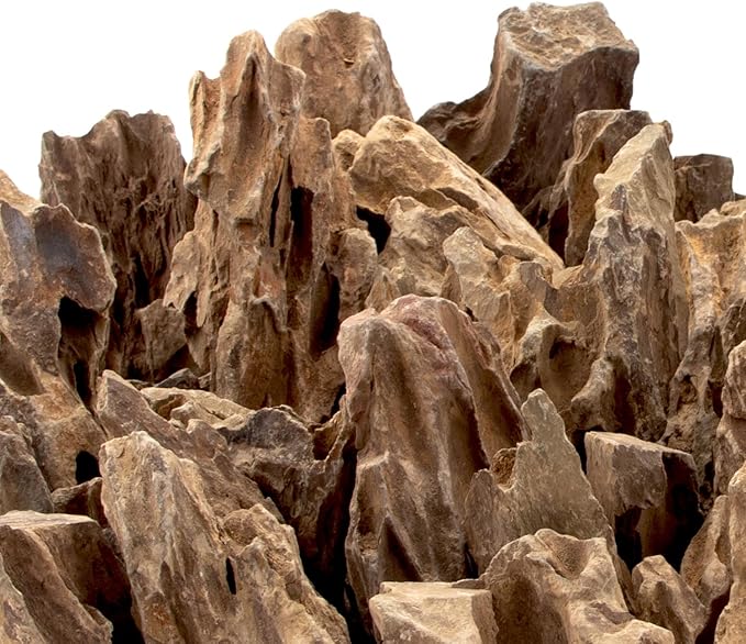 18.1 Pounds Natural Dragon Stones for Aquascaping Terrariums,Aquarium Dragon Ohko Rock (2.1 to 7.2 inch)-PawvioPets