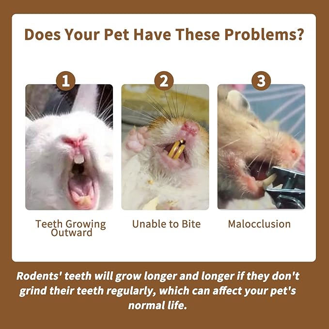 Fhiny 12 PCS Rabbit Chew Sticks, Natural Papaya Wood Seagrass Guinea Pig Chew Toys for Teeth Small Animal Molar Sticks Snacks for Bunny Guinea Pig Chinchilla Ferret Hamster Gerbil Dental Care-PawvioPets