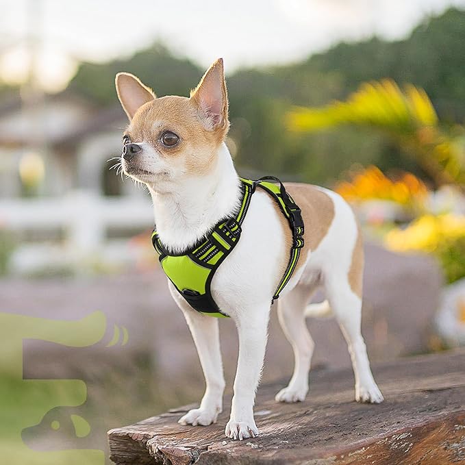 Eagloo Small Dog Harness No Pull, Service Vest with Reflective Strips and Control Handle, Adjustable and Comfortable for Walking, No Choke Pet Harness with 2 Metal Rings, Green, XS-PawvioPets