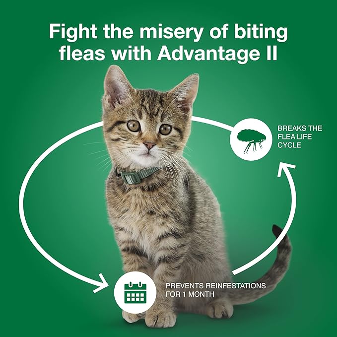 Advantage II Small Cat Vet-Recommended Flea Treatment & Prevention | Cats 5-9 lbs. | 3-Month Supply-PawvioPets
