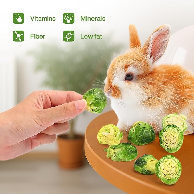 Abizoo Freeze Dried Brussels Sprouts Rabbit and Hamster Chew Treats Resealable Jar for Hamsters Bunny Guinea Pigs Groundhogs Natural Fiber Vitamin Snacks-PawvioPets