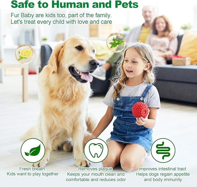 Dog Dental Powder,Dog Teeth Cleaning Powder,Dog Dental Cat Dental Care,Cat and Dog Teeth Cleaning,Canine Plaque Remover Helps Reduce Bad Breath,Improve Pet's Oral Cavity and Freshen Breath（80G）-PawvioPets