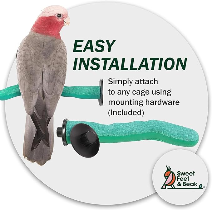 Brid Cage Safety Pumice Perch - Trims Nails and Beak - Promotes Healthy Nails and Beaks - Safe Non-Toxic Bird Supplies for Bird Cages - Large 12"-PawvioPets