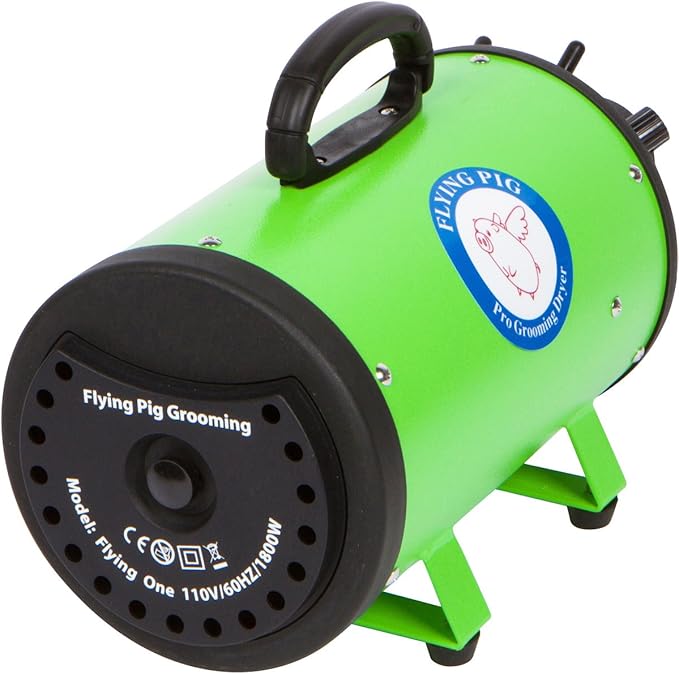 Flying Pig High Velocity Dog Pet Grooming Dryer w/Heater (Model: Flying One, Green)-PawvioPets