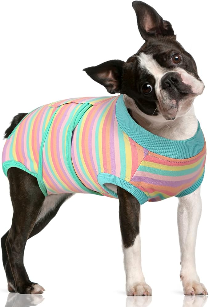 FUAMEY Recovery Suit for Dogs After Surgery,Soft Breathable Dog Bodysuit E-Collar & Cone Alternative Surgical Suit,Male Female Dog Neuter Spay Suits Anti Licking Wounds Onesie Mint Green Stripes L-PawvioPets