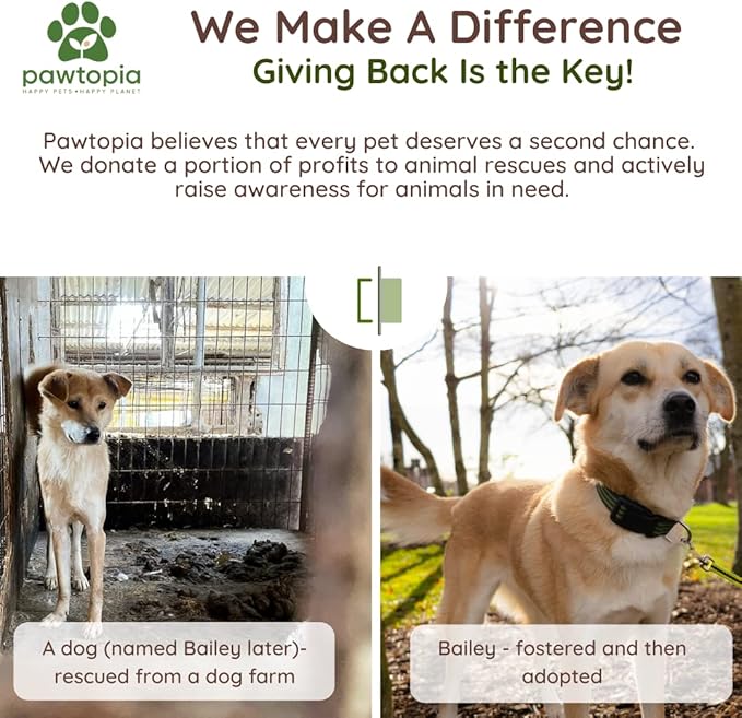 Biodegradable Dog Poop Bags, 60 Count, Certified Home Compostable, Leak-Proof, Easy Open, Standard Size, Supports Sustainable Living-PawvioPets