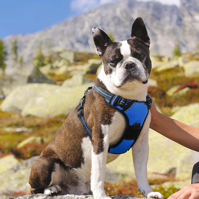 Eagloo Dog Harness Medium Sized Dog, No Pull Service Vest with Reflective Strips and Control Handle, Adjustable and Comfortable for Easy Walking, No Choke Pet Harness with 2 Metal Rings, Blue, M-PawvioPets