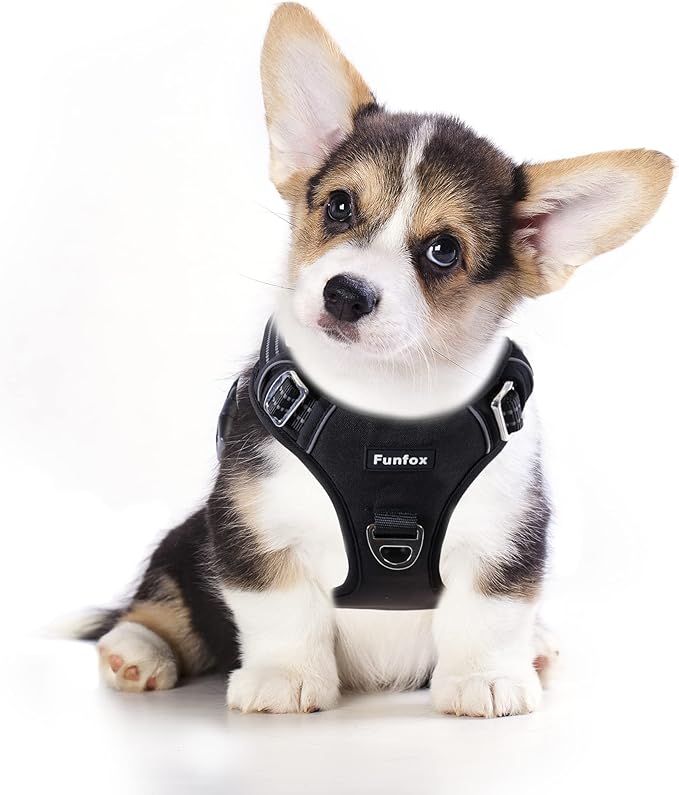 Funfox Dog Harness No Pull, Adjustable Dog Vest Harness, Super Soft Material with Vertical Handle Easy Control, Reflective Night Walking, 2 Leash Clips for Small Medium Large Size, Black, S-PawvioPets