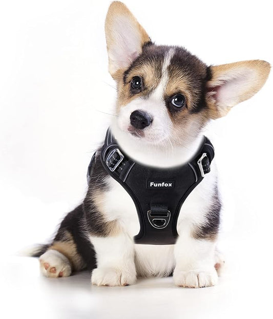 Funfox Dog Harness No Pull, Adjustable Dog Vest Harness, Super Soft Material with Vertical Handle Easy Control, Reflective Night Walking, 2 Leash Clips for Small Medium Large Size, Black, S-PawvioPets
