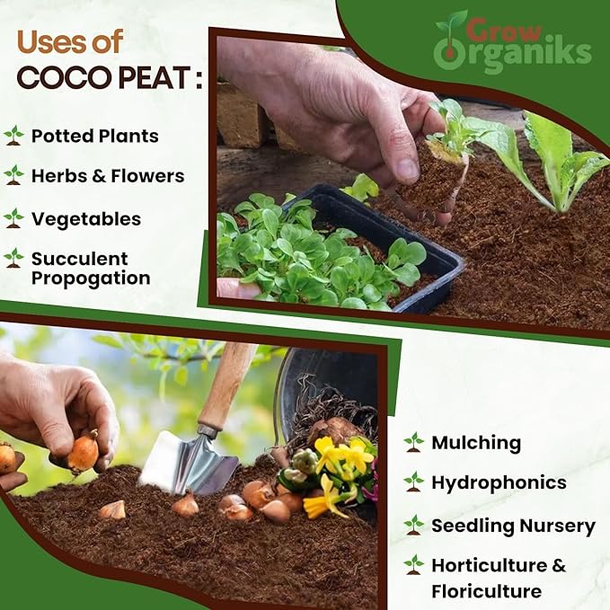 4 Pack Premium Coco Coir Brick for Plants | 100% Organic Compressed Coconut Coir Bricks Starting Mix, Coco Coir Fiber Coconut Husk for Planting, Gardening, Potting Soil Substrate, Herbs, 1.4 LB/Brick-PawvioPets