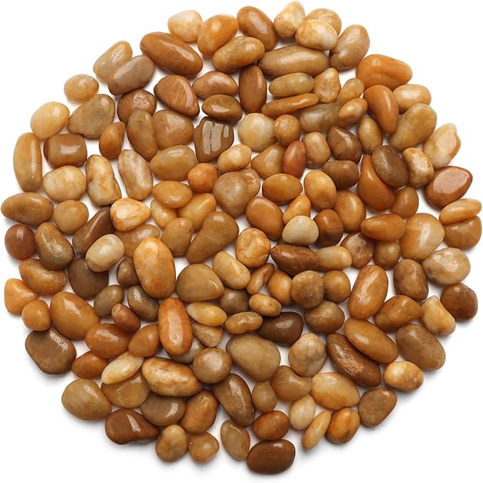 5 Lbs River Rocks for Plants,0.8-1.5 Inch Decorative Ornamental Pebbels, High Polished Stones for Garden Landscaping, Smooth Gravel Filler for Outdoor Plants, Succulents, Fish Tank and Vases, Yellow-PawvioPets