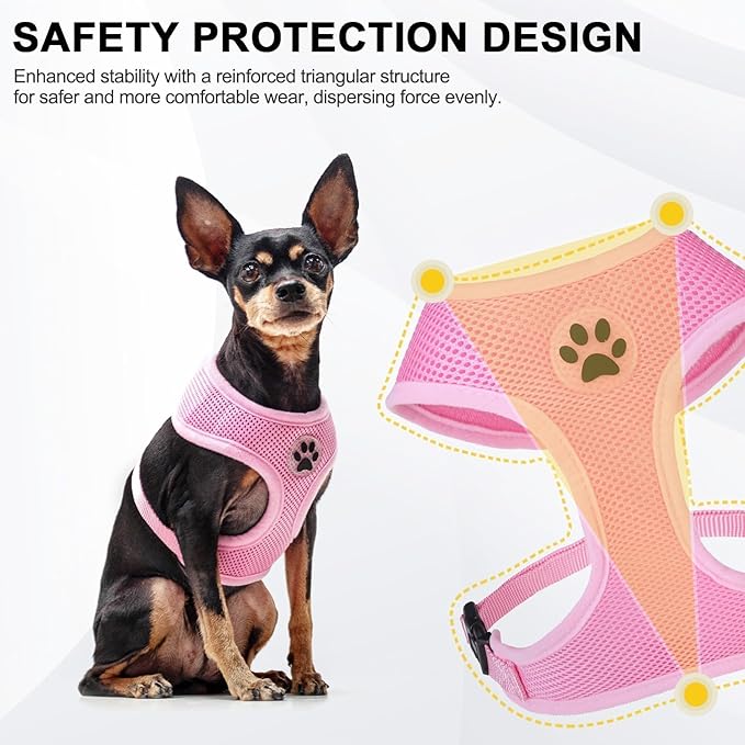 BINGPET Small Dog Harness - Breathable Mesh Puppy Cat Harnesses - No Pull Adjustable Dog Harness Dog Vest Harness for Small and Medium Dogs-PawvioPets