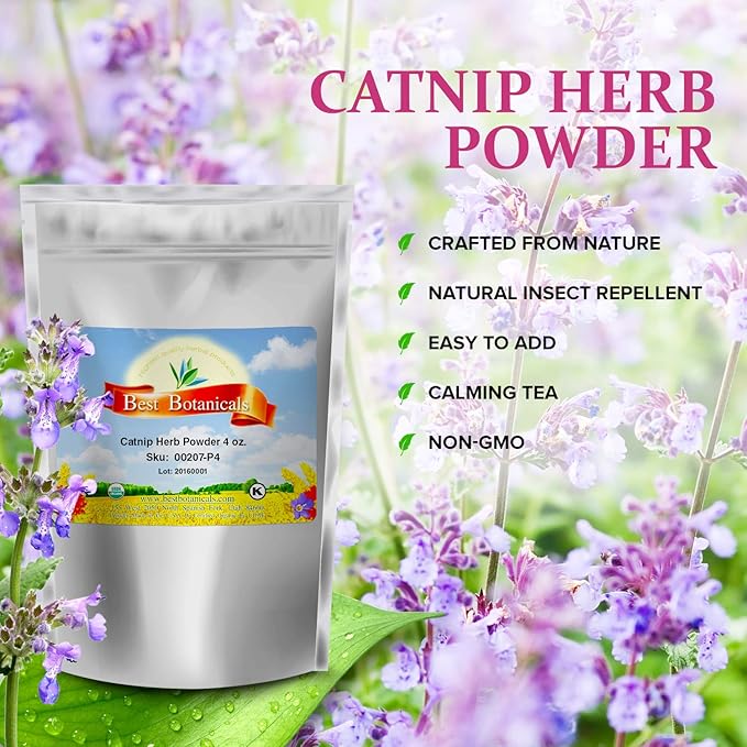 Best Botanicals Catnip Herb Powder 4 oz.-PawvioPets