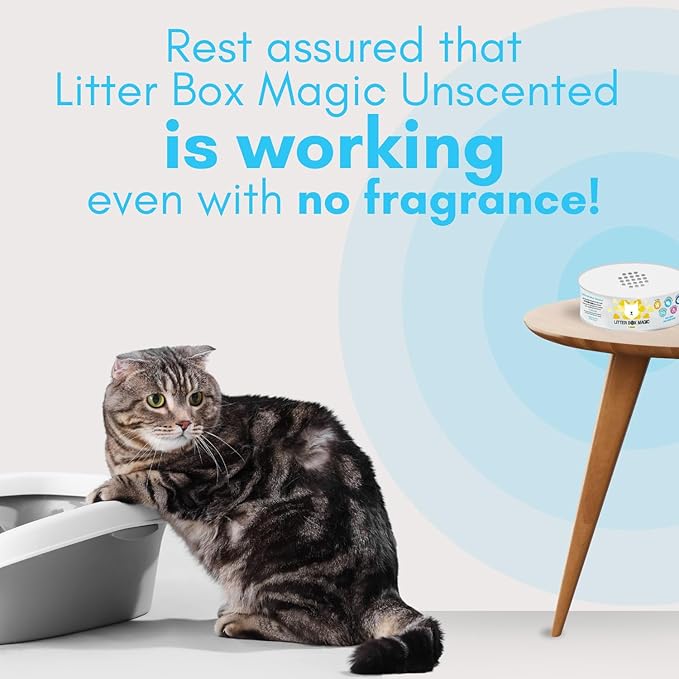 Cat Litter Deodorizer Jar (1 Fresh Scent and 1 Fragrance Free, 16 Oz, Pack of 2) - Cat Litter Odor Absorber Gel - Litter Box Pet Air Freshener - Litter Odor Eliminator to Freshen Air-PawvioPets