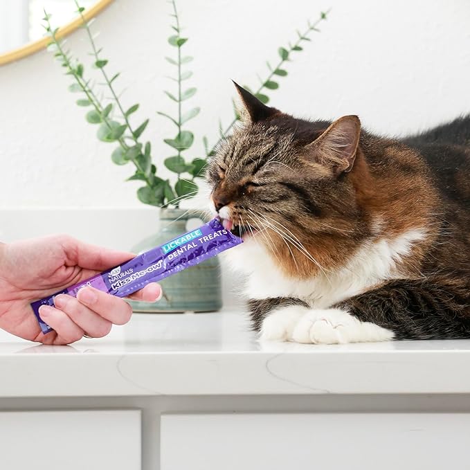 Ark Naturals Kiss Me-Ow Lickable Dental Cat Treats, Chicken Flavored, No Artificial Flavors, 2 Ounces (Pack of 6)-PawvioPets