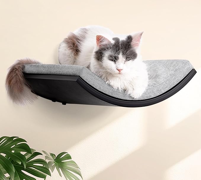 Curved Cat Wall Hammock Bed with Grey Foam Cushion – Floating Cat Wall Shelf Nest for Climbing, Sleeping & Lounging-PawvioPets