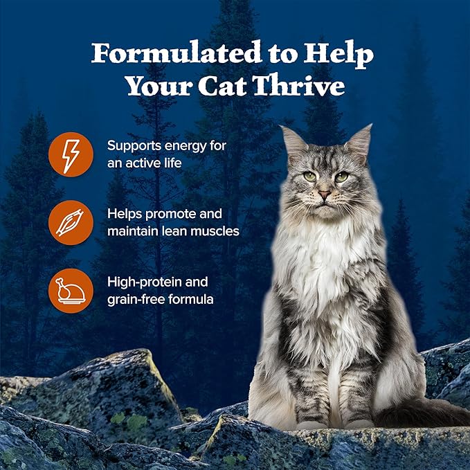 Blue Buffalo Wilderness Wild Delights Meaty Morsels Wet Cat Food, High-Protein & Grain-Free, Made with Natural Ingredients, Chicken & Turkey Recipe in Tasty Gravy, 3-oz. Cans (24 Count)-PawvioPets