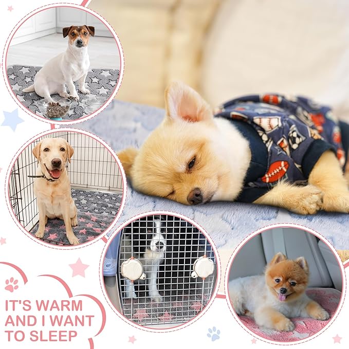 4 Pcs Waterproof Guinea Pig Blankets Washable Small Animal Fleece Bedding Absorbent Guinea Pig Cage Liners Reusable Pet Pee Pad Sleep Mat Pad Cover for Hamster Ferret (Cute Star Pattern, 24 x 16 Inch)-PawvioPets