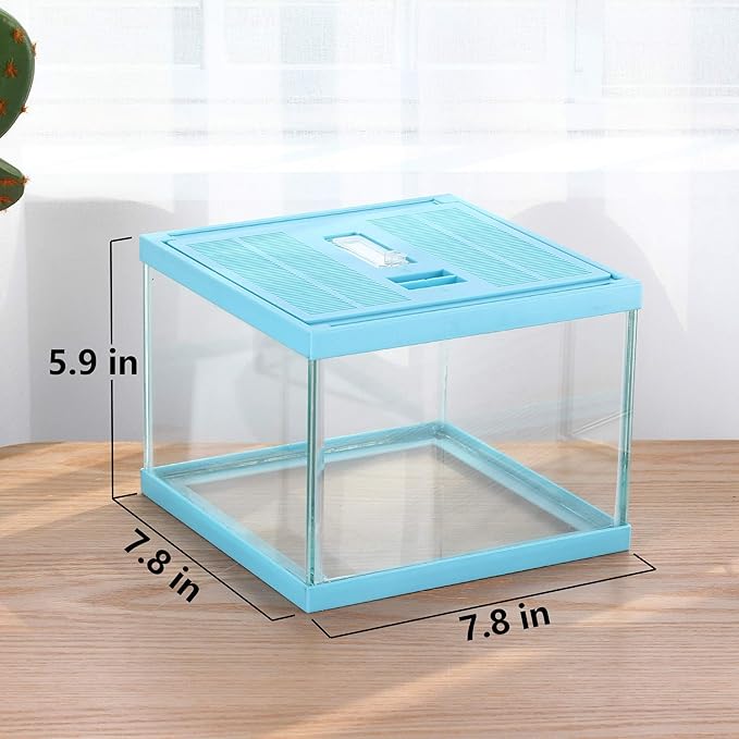crapelles ReptileTerrarium Color Blue Spider Box, 7.8x7.8x5.9'' Tarantula Container Gecko Habitat Insect Enclosure pet Tank Frog Carrier Snail Hermit Crab House Cricket breeding Geometric Cube Bowl-PawvioPets