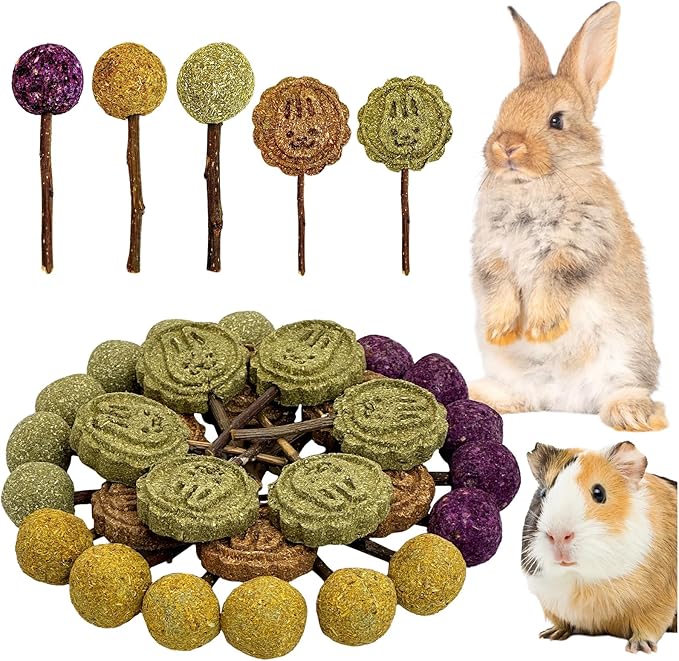 Fhiny Rabbit Chew Toys, 30 PCS Natural Bunny Lollipop Chew Sticks Handmade Guinea Pig Molar Treats for Teeth Small Animals Snacks for Guinea Pig Bunny Chinchilla Hamster Gerbil Teeth Care-PawvioPets