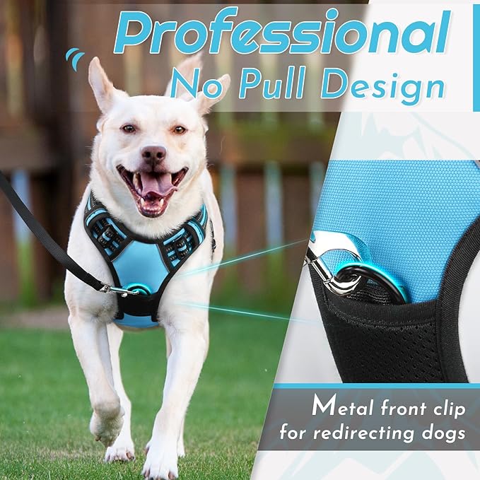 Eagloo Dog Harness for Large Dogs, No Pull Service Vest with Reflective Strips and Control Handle, Adjustable and Comfortable for Easy Walking, No Choke Pet Harness with 2 Metal Rings, Sky Blue, L-PawvioPets