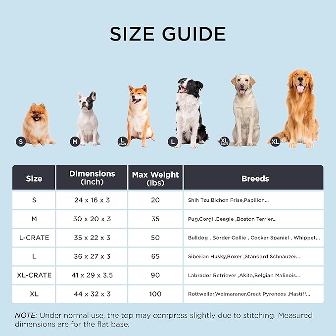 Bedsure Cooling Dog Bed for Small Dogs - Orthopedic Flat Puppy Beds with Removable Washable Cover, Egg Crate Foam Pet Mat, Suitable for Pet Up to 20 lbs-PawvioPets