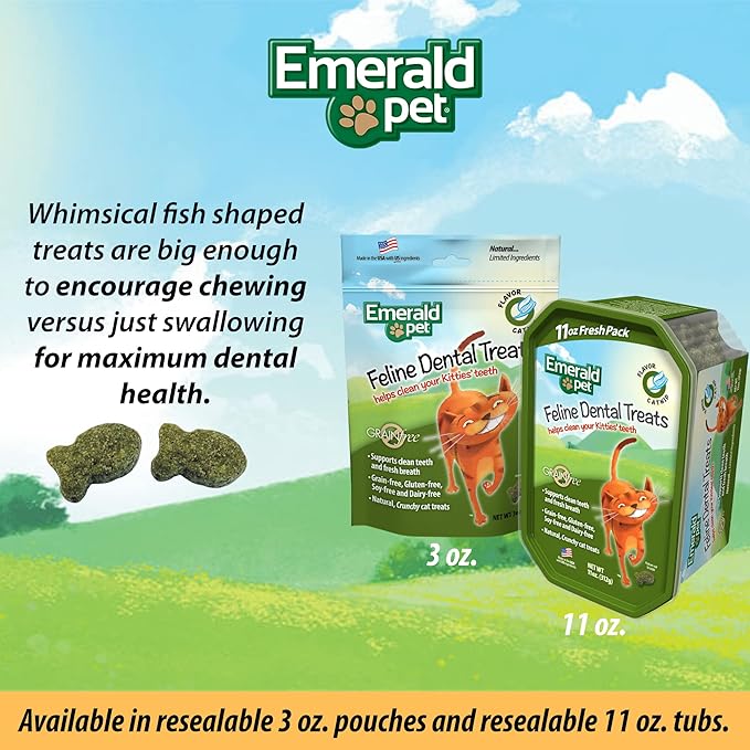 Feline Dental Treats — Tasty and Crunchy Cat Dental Treats Grain Free — Natural Dental Treats to Clean Cat Teeth, Freshen Cat Breath, and Reduce Plaque and Tartar Buildup — Catnip Treats, 11 oz-PawvioPets