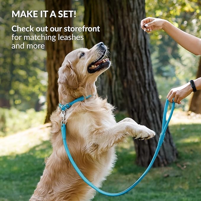 CollarDirect Rolled Leather Dog Collar, Soft Padded Round Puppy Collar, Handmade Genuine Leather Collar Dog Small Large Cat Collars 13 Colors (8-11 Inch, Light Blue Smooth)-PawvioPets