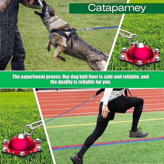 Dog Tie Out Cable and Stake for Yard,(up to 200lbs) 360°Swivel Dog Run Anchors- No Tangle,with 20FT Heavy Duty Tie Out Cable,Runner for Yard,Ideal for Outdoor Camping-PawvioPets