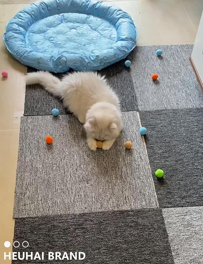 19-Piece Cat Toy Variety Pack for Kittens and Indoor Cats (1.5'' - 8.3'', Cat Toys Pro Collection)-PawvioPets