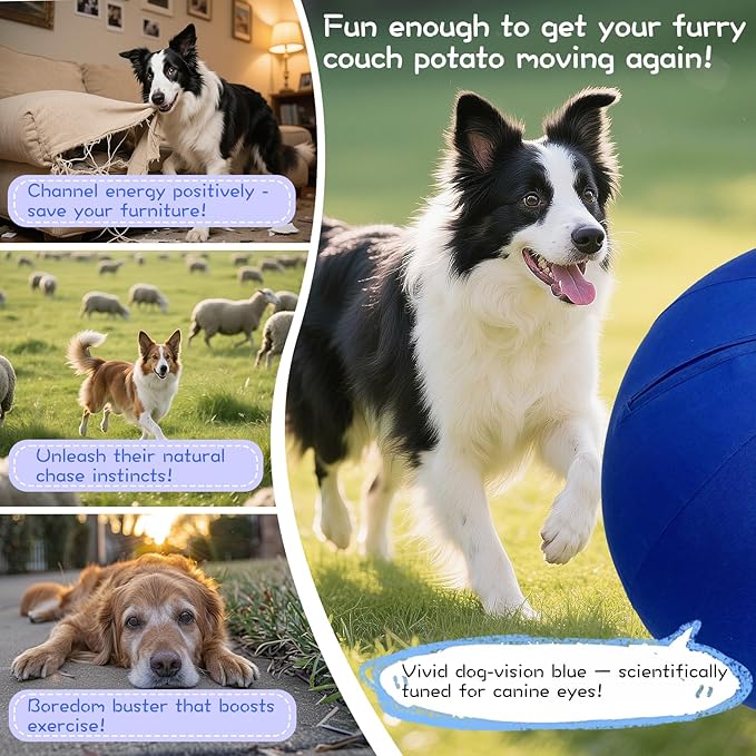 25" Herding Ball for Dogs – Durable Horse Ball Style Dog Toy with Cover – Dog Herding Toy for Outdoor Play, Training & Exercise – Great for Australian Shepherds & Large Breeds-PawvioPets
