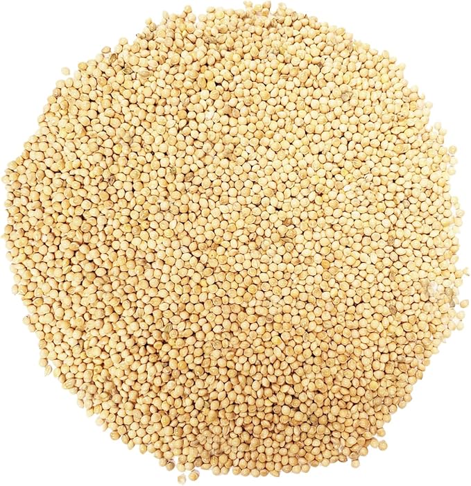 CountryMax White Proso Millet Unhulled Bulk Wild Bird Seed (16 Pounds)-PawvioPets