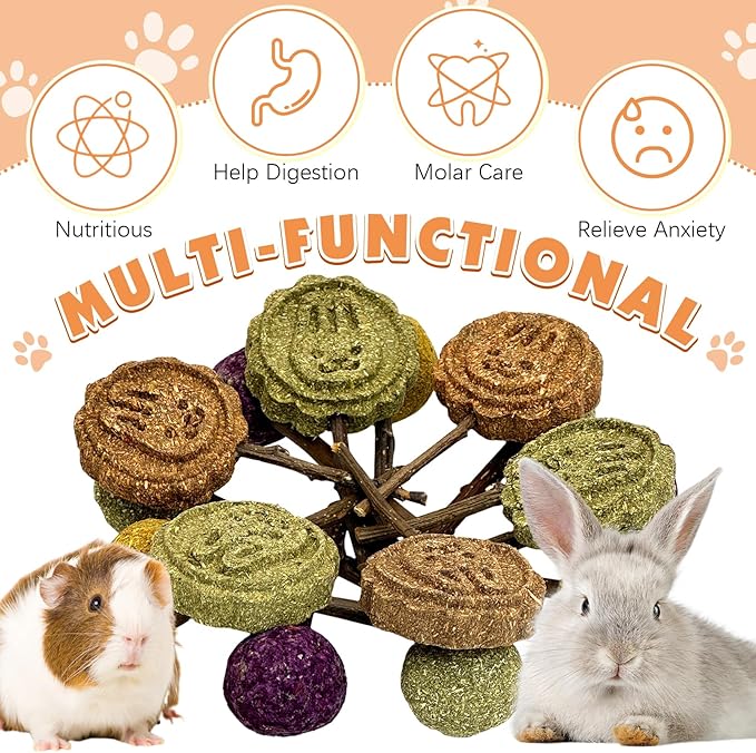 Fhiny Rabbit Chew Toys, 15 PCS Natural Bunny Lollipop Chew Sticks Handmade Guinea Pig Molar Treats for Teeth Small Animals Snacks for Guinea Pig Bunny Chinchilla Hamster Gerbil Teeth Care-PawvioPets