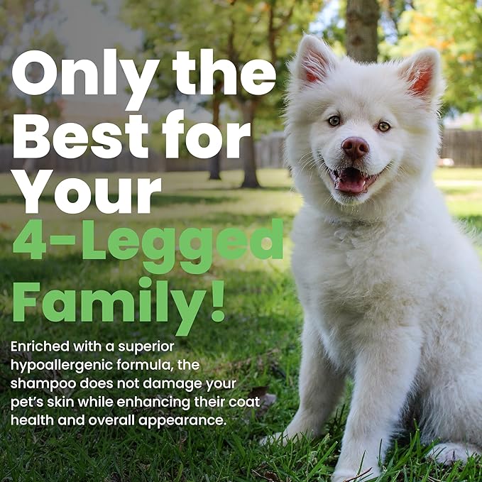 Best Shot Scentament Spa for Pets, Seasonal Facial Spa and Body Wash, Mango Maui, Tearless Shampoo, Hypoallergenic Body Wash, Reduces Tear Stains, 1 Gallon-PawvioPets