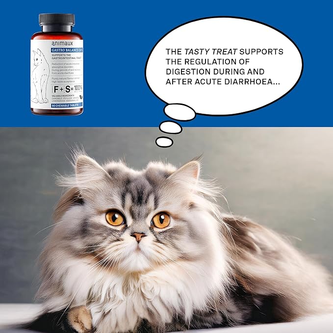 animaux - Gastro Balance for Cats, Supports Gastro-intestinal Tract, Prevents Diarrhoea, Constipation, Hairballs & Flatulence, supplementary probiotics, 90 chewable Tablets, 90 Days Supply-PawvioPets