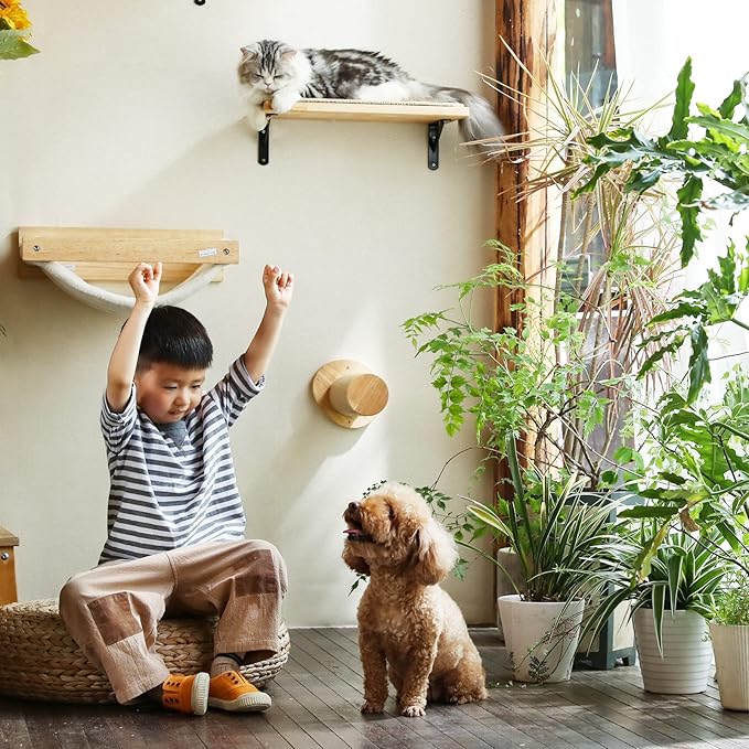 FUKUMARU Cat Wall Furniture, 11.8 Inch Cats Steps for Drywall, Kitten Stairs for Wall Mounted with Jute Scratching Kittens Shelf, 2 of Pack-PawvioPets