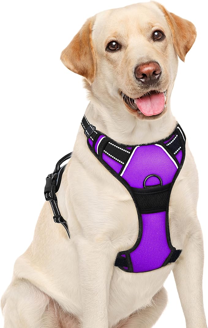 BARKBAY No Pull Dog Harness Large Step in Reflective Dog Harness with Front Clip and Easy Control Handle for Walking Training Running(Purple,L)-PawvioPets