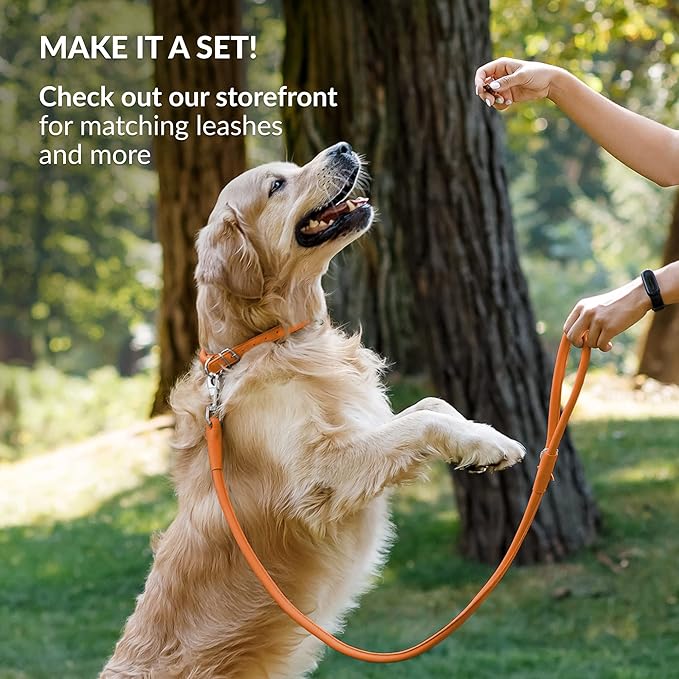 CollarDirect Rolled Leather Dog Collar, Soft Padded Round Puppy Collar, Handmade Genuine Leather Collar Dog Small Large Cat Collars 13 Colors (6 Inch, Orange Smooth)-PawvioPets