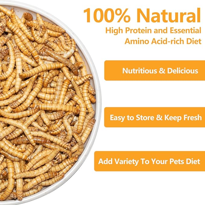 Freeze Dried Mealworms 6 Oz - High Protein Pet Food for Reptiles, Bearded Dragons, Birds & Hedgehogs - Nutrient-Packed Treat for Lizards, Geckos, Turtles, Chickens-PawvioPets